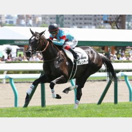 新馬戦は３馬身差完勝