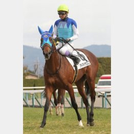 武豊で新馬勝ち