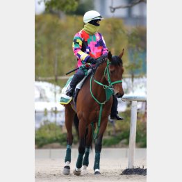 相手も角居厩舎のトーセンカンビーナ