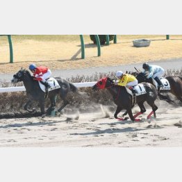 中山千二は２戦２勝のジャパンスウェプト