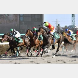 昨年は124万馬券に