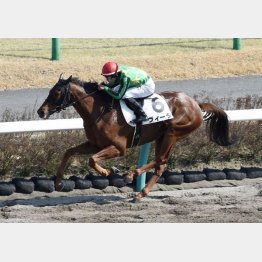 前走勝ちは好内容