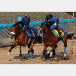 追えばいくらでも突き放しそうな手応え（左）