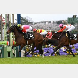 前走は勝ち馬が昇級戦でも②着した強力メンバーだった