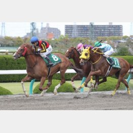 昨年の勝ち馬アナザートゥルース（右）が②着