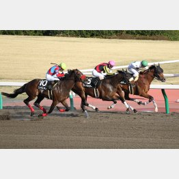 藤岡は鈴鹿特別②着のグレートウォリアーを推奨