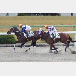 一千万勝ちもたたき２戦目