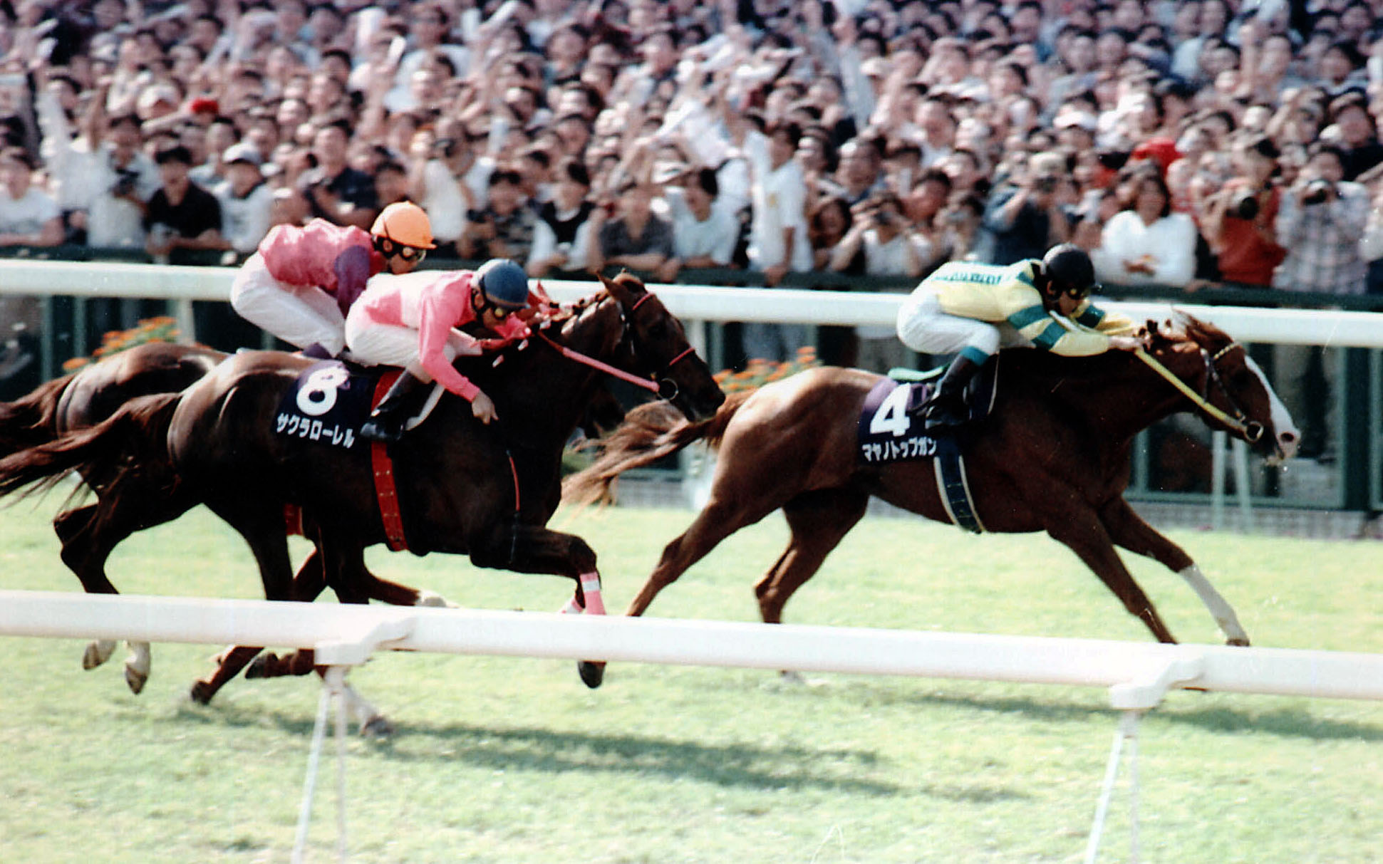 96 有馬記念 サクラローレル k18 サクラローレル｜名馬メモリアル