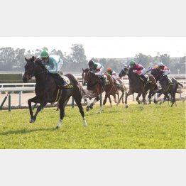 エルフィンＳでは桜花賞馬の③着