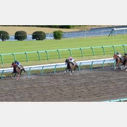 前走②着は非常に好内容だった