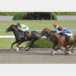 ②③着も上位人気で順当決着