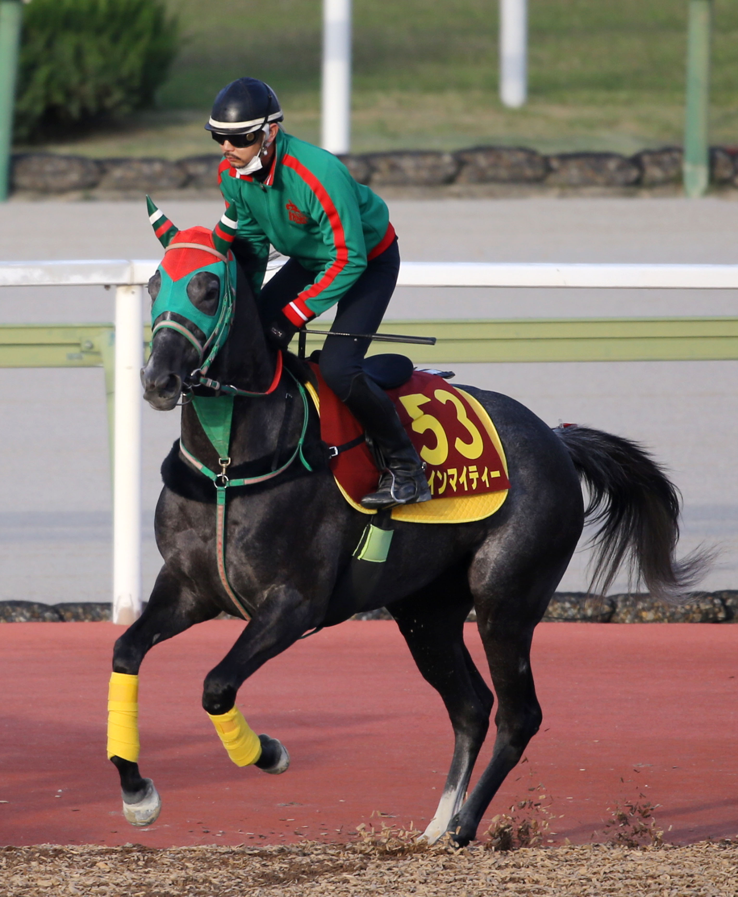 ウイン マイティー