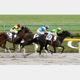 トレイントレインは前走で首差②着