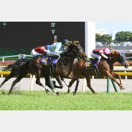 ②着ウインマリリン（横山典騎手）「勝ち馬が強かったね」