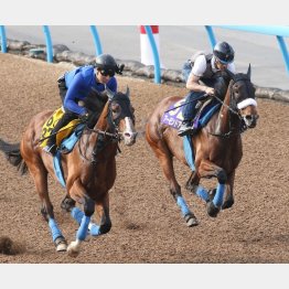 先週はアーモンドアイとの併せ馬