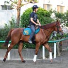 【日曜東京5R】グアドループ「馬体の良さは抜群です」
