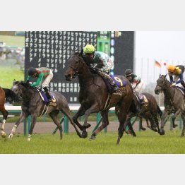 道悪の桜花賞は①着が〝ノルマンディー〟、③着が岡田繁幸氏の所有馬