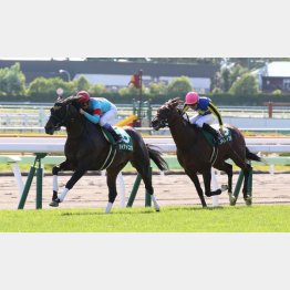 ①着ダイアトニック(武豊騎手)「かなり高いスプリント能力を持っています」