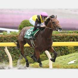 5馬身差の圧勝