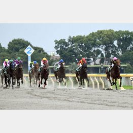 ①着カフェファラオ(レーン騎手)「まだポテンシャルは底を見せていない」