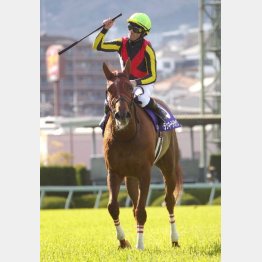 大阪杯を快勝