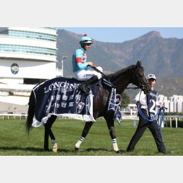 香港ヴァーズでGⅠ馬に