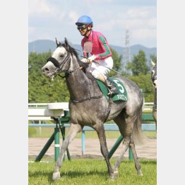 平安Sを完勝
