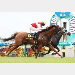 昨年の勝ち馬ショウナンライズも参戦