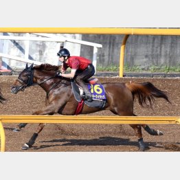 ラッキーライラック