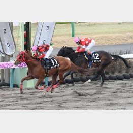 上総Ｓ以来の先頭ゴールインを狙う