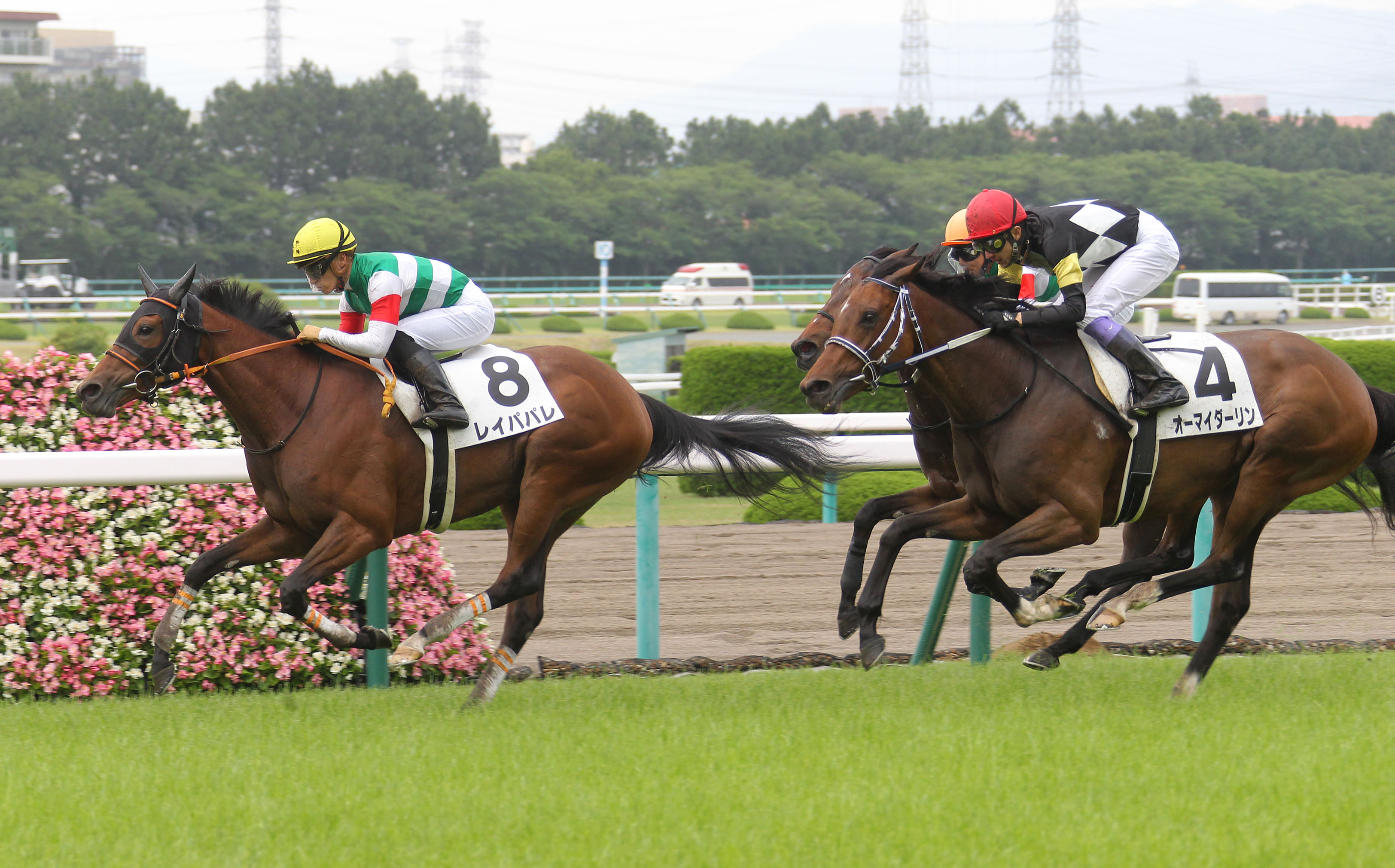 大阪本紙 弘中の日曜阪神８ｒ 日刊ゲンダイ競馬