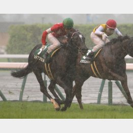 昨年の勝ち馬レッドアンシェルもエントリー