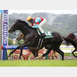 昨年は馬単万馬券決着