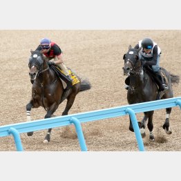 クレッシェンドラヴ（左）は併せで同入