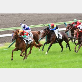 先週土曜は7Rステラドーロを含めて福島で2勝
