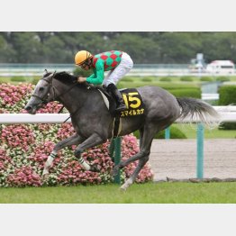シリーズ1戦目を逃げ切ったスマイルカナ