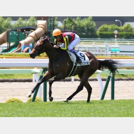 5馬身差でレコード勝ち