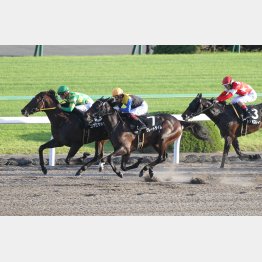 川田の手綱で３勝クラスの平城京Ｓ勝ち