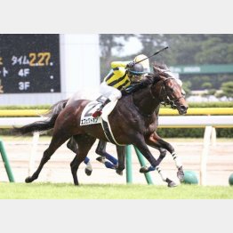 昨夏の新潟で１勝クラスをＶ