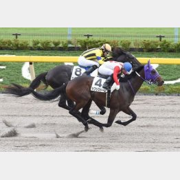 昨秋の東京で２勝目