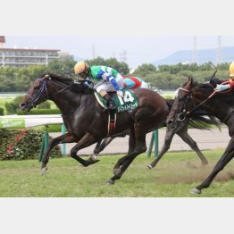 首、首差の大接戦