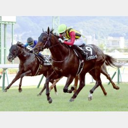 久々の3勝目を挙げた