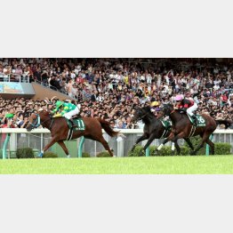 昨年はライオンボスが勝利
