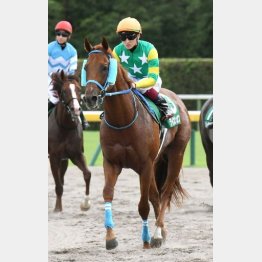 ②着ライオンボス(鮫島駿騎手)「力は出し切れた」