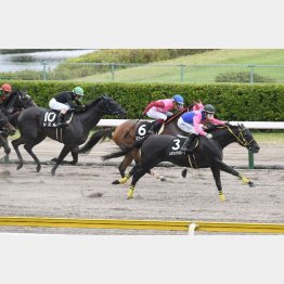 土曜の越後Sも関西馬のワン・ツー・スリー