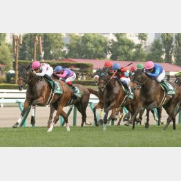 昨年の勝ち馬はミッキーチャーム