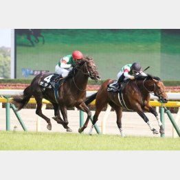 3歳時にプリンシパルS勝ち(左)