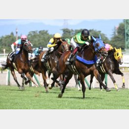 土曜は月岡温泉特別まで全て関西馬が勝利