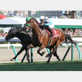 昨年の勝ち馬ブラストワンピースもＧⅠウイナー