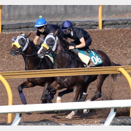 内から首ほど抜け出した